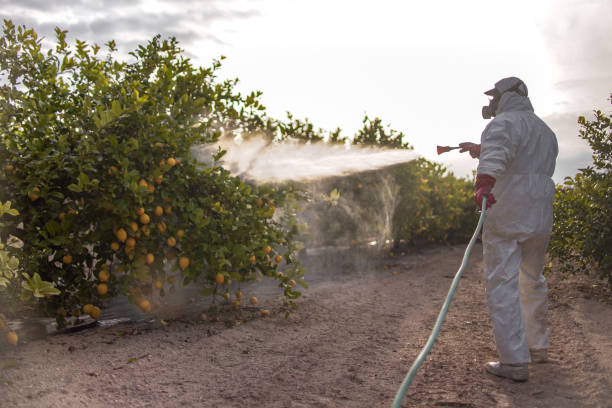 Best Ant Control Services  in Oblong, IL