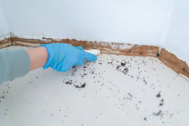 Pest Control for Restaurants in Oblong, IL