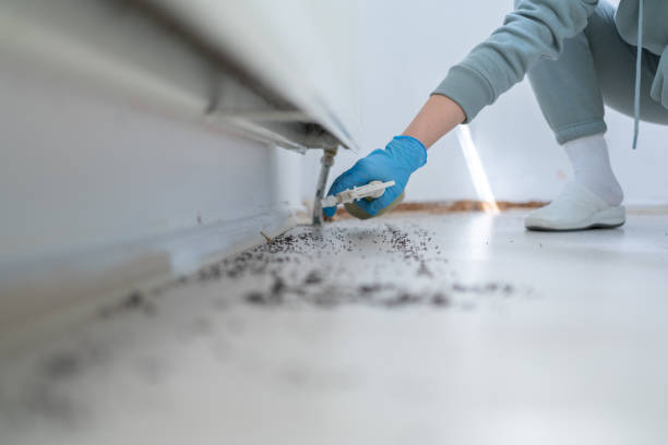 Best Rodent Control Near Me  in Oblong, IL